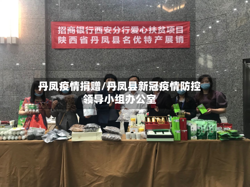 丹凤疫情捐赠/丹凤县新冠疫情防控领导小组办公室