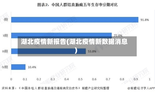 湖北疫情新报告(湖北疫情新数据消息)