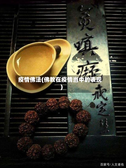 疫情佛法(佛教在疫情当中的表现)-第3张图片