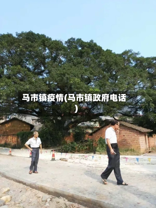 马市镇疫情(马市镇政府电话)