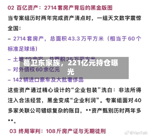 葛卫东家族，221亿元持仓曝光