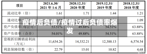 疫情后负债/疫情过后负债率爆发