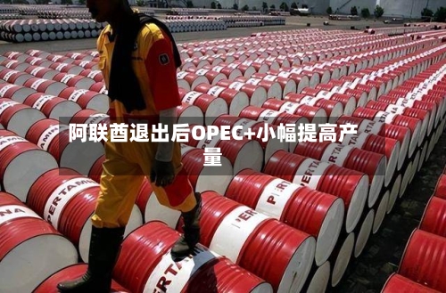 阿联酋退出后OPEC+小幅提高产量