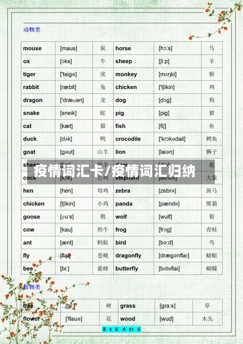 疫情词汇卡/疫情词汇归纳