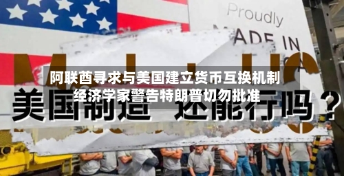 阿联酋寻求与美国建立货币互换机制 经济学家警告特朗普切勿批准