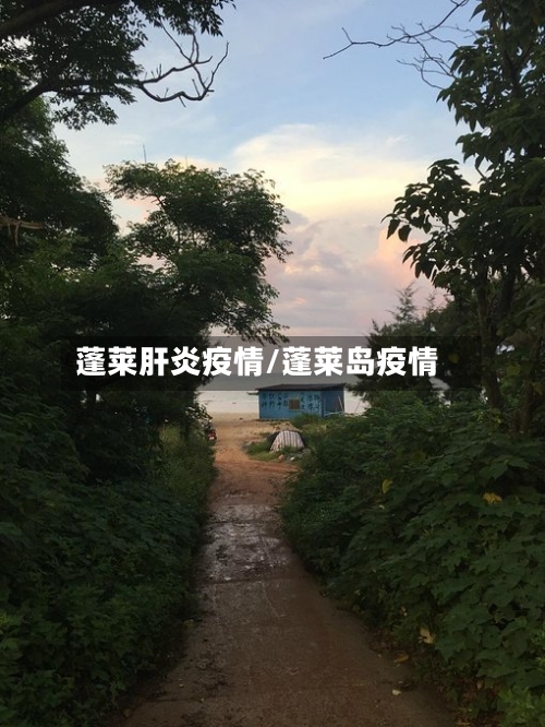 蓬莱肝炎疫情/蓬莱岛疫情