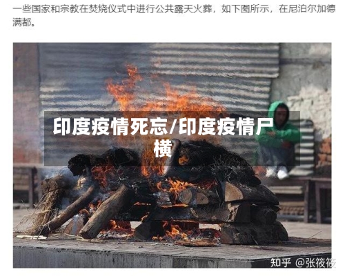 印度疫情死忘/印度疫情尸横