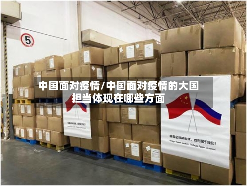 中国面对疫情/中国面对疫情的大国担当体现在哪些方面