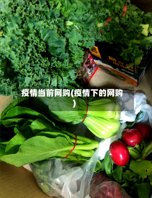疫情当前网购(疫情下的网购)