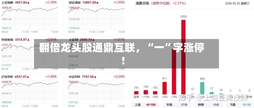 翻倍龙头股通鼎互联，“一”字涨停！