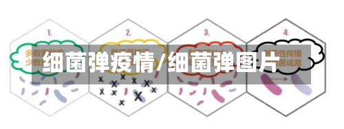 细菌弹疫情/细菌弹图片