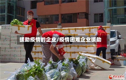 援助疫情的企业/疫情困难企业援助