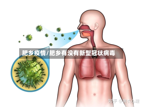 肥乡疫情/肥乡有没有新型冠状病毒