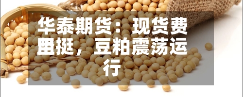 华泰期货：现货费用坚挺，豆粕震荡运行