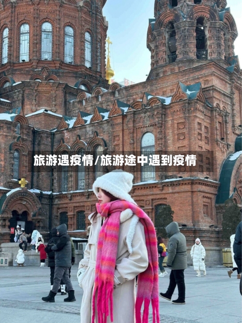 旅游遇疫情/旅游途中遇到疫情