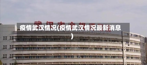 疫情武汉情况(疫情武汉情况最新消息)