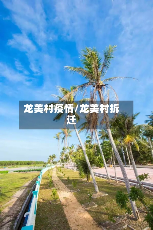 龙美村疫情/龙美村拆迁