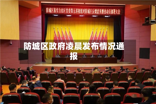 防城区政府凌晨发布情况通报