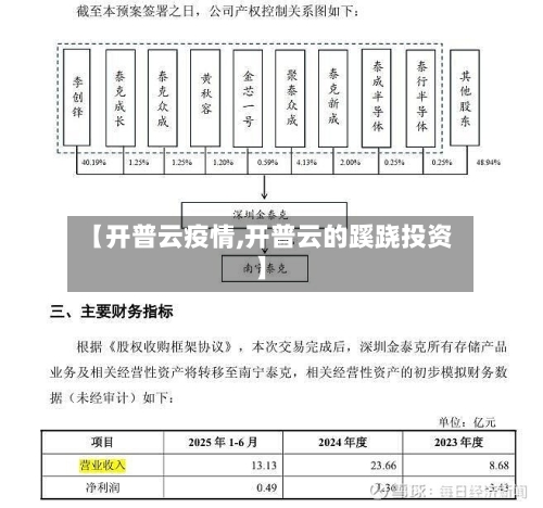 【开普云疫情,开普云的蹊跷投资】