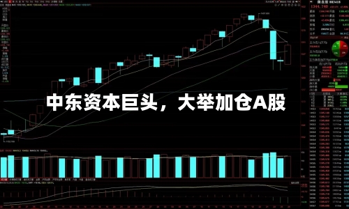 中东资本巨头，大举加仓A股