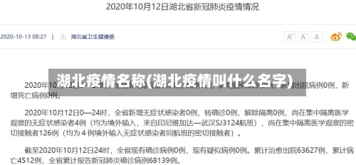 湖北疫情名称(湖北疫情叫什么名字)
