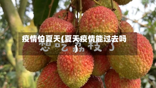 疫情怕夏天(夏天疫情能过去吗)
