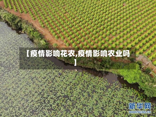 【疫情影响花农,疫情影响农业吗】